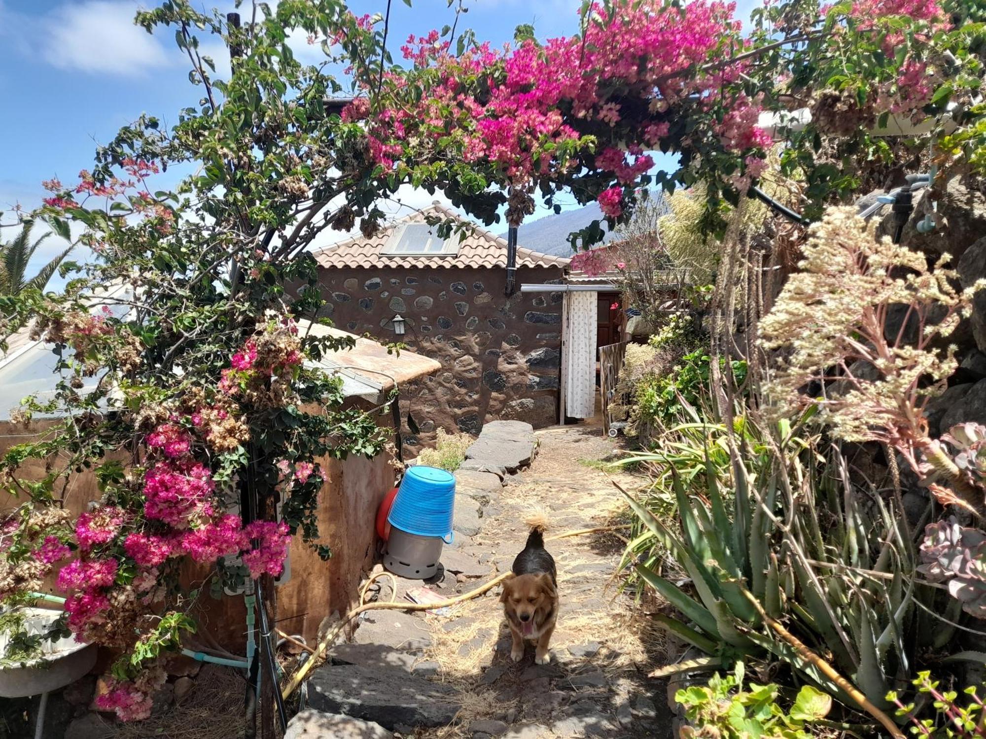 Bed and Breakfast Abracaribes Arecida Exterior foto
