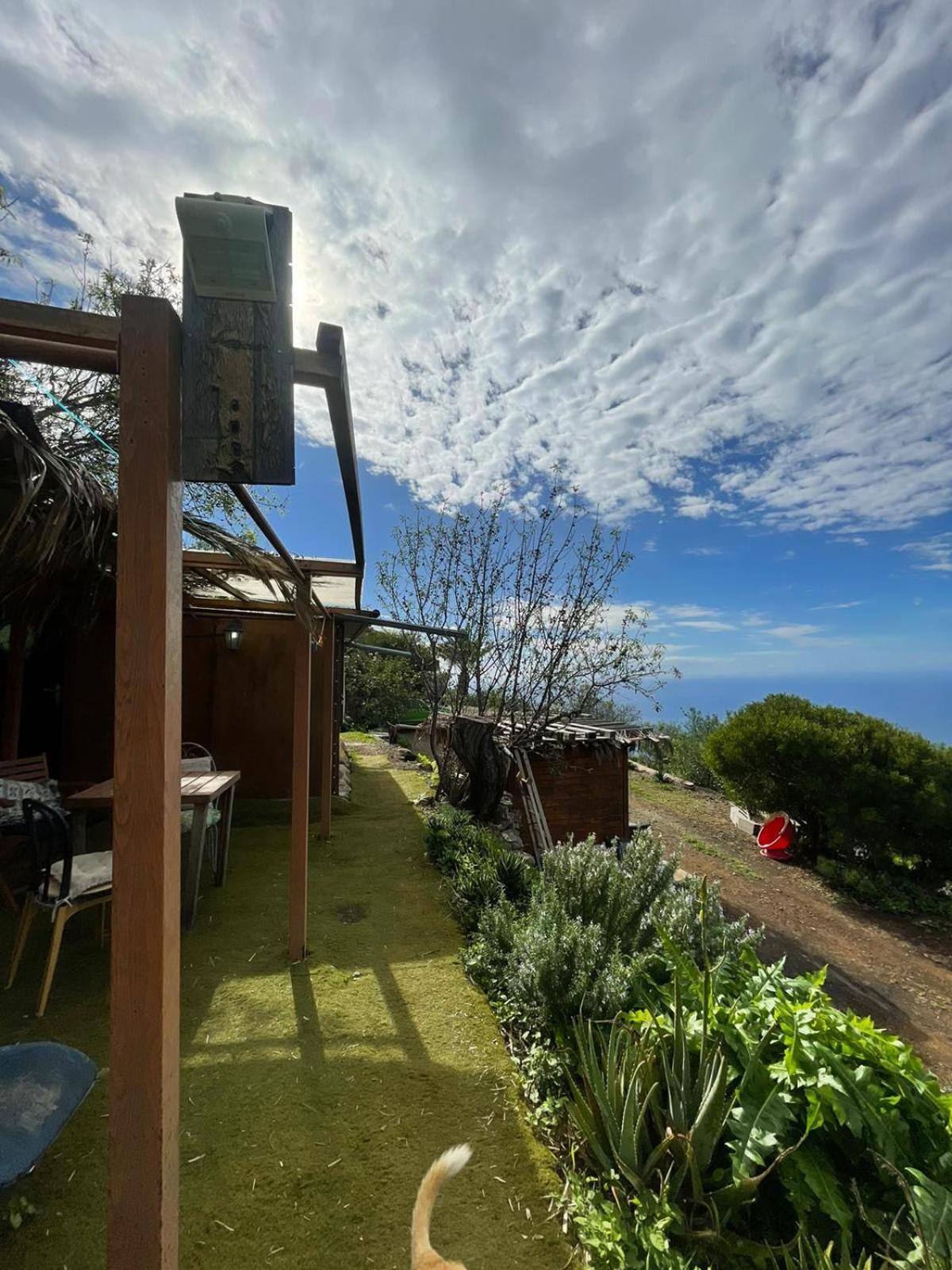 Bed and Breakfast Abracaribes Arecida Exterior foto