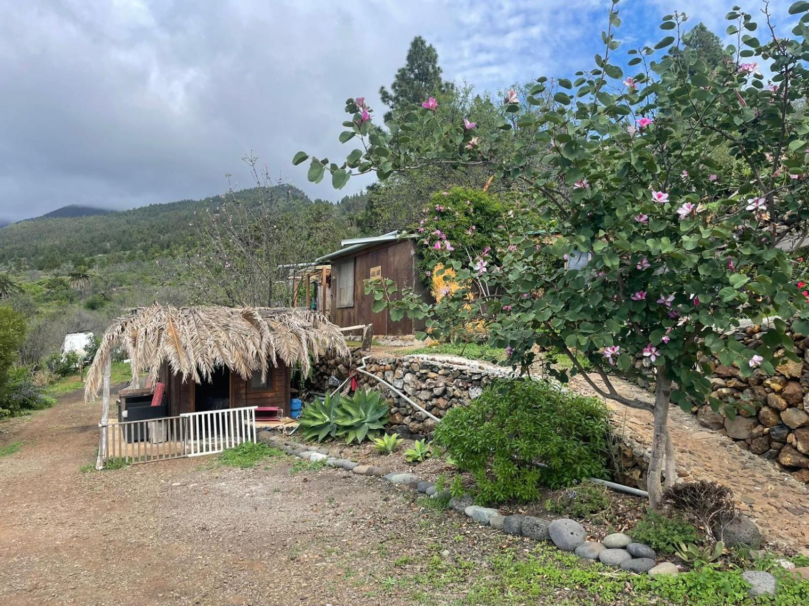 Bed and Breakfast Abracaribes Arecida Exterior foto