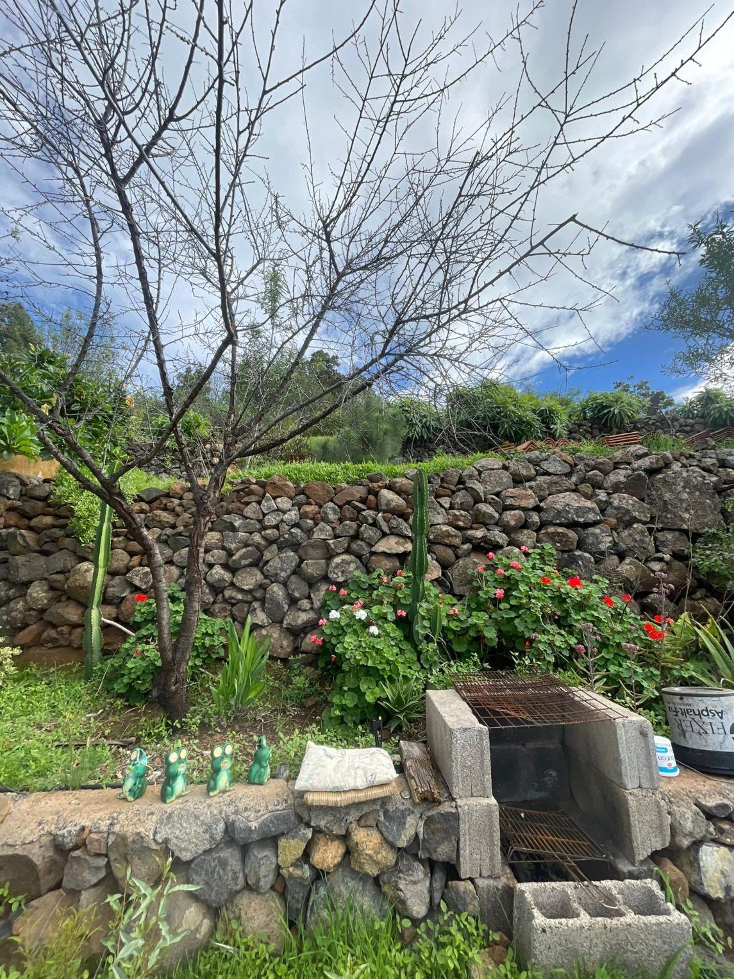 Bed and Breakfast Abracaribes Arecida Exterior foto