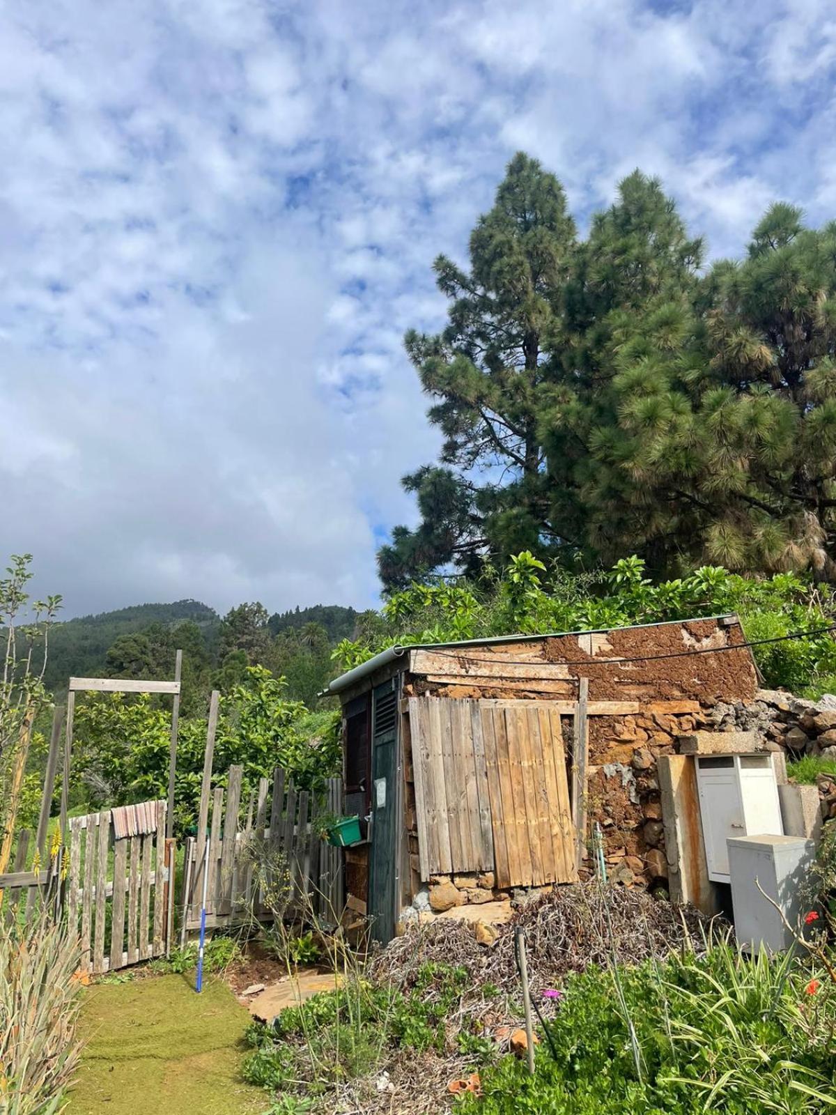 Bed and Breakfast Abracaribes Arecida Exterior foto