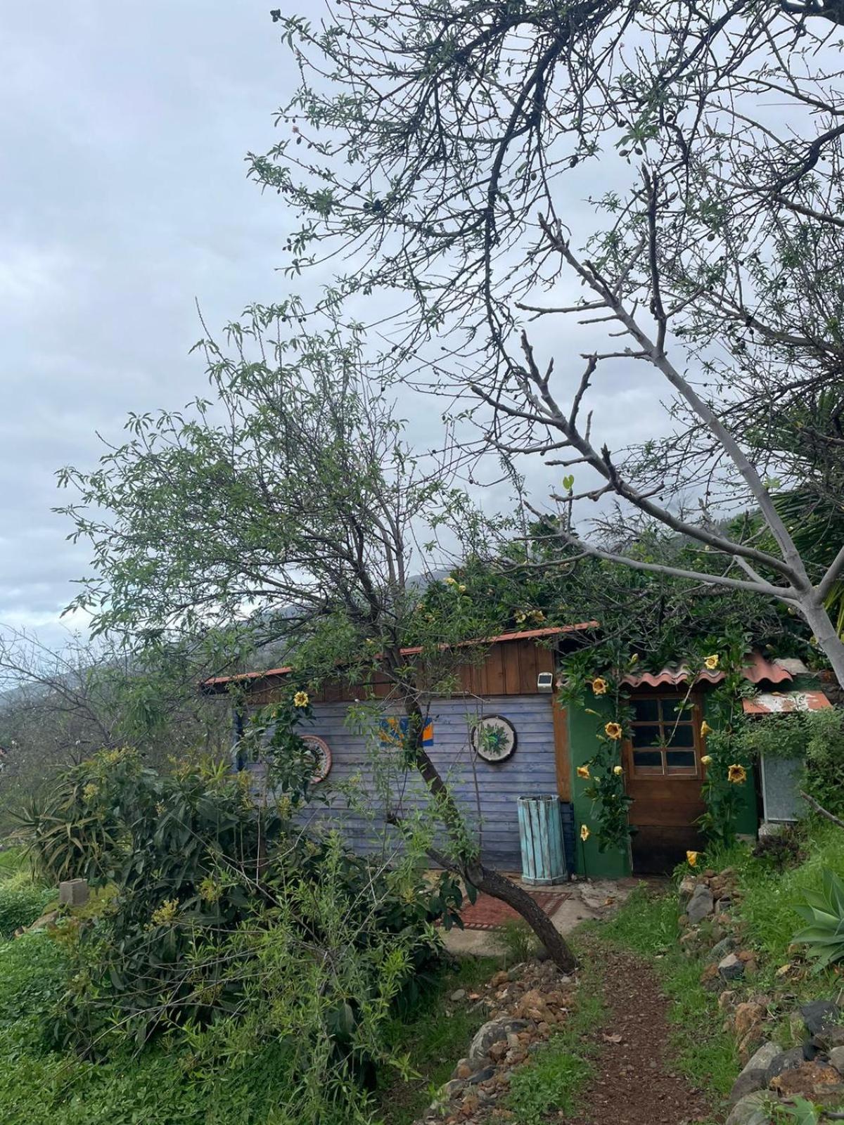 Bed and Breakfast Abracaribes Arecida Exterior foto