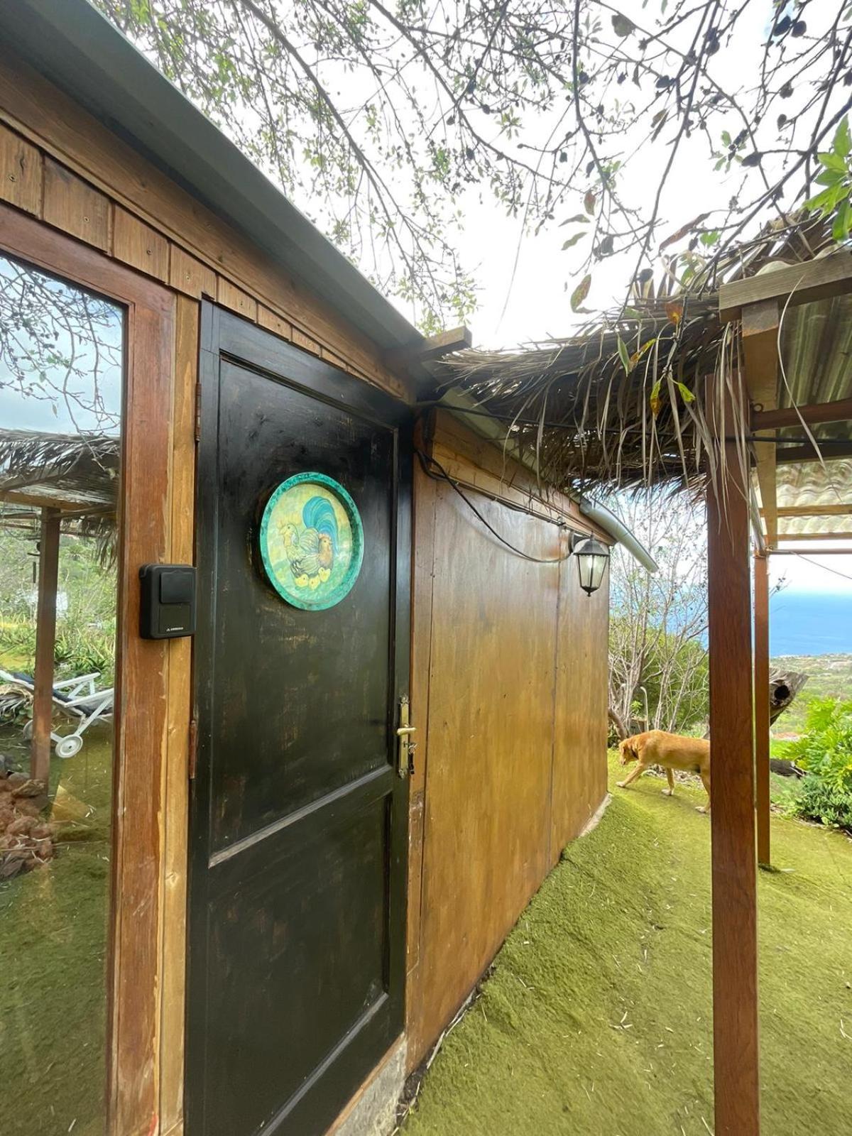 Bed and Breakfast Abracaribes Arecida Exterior foto