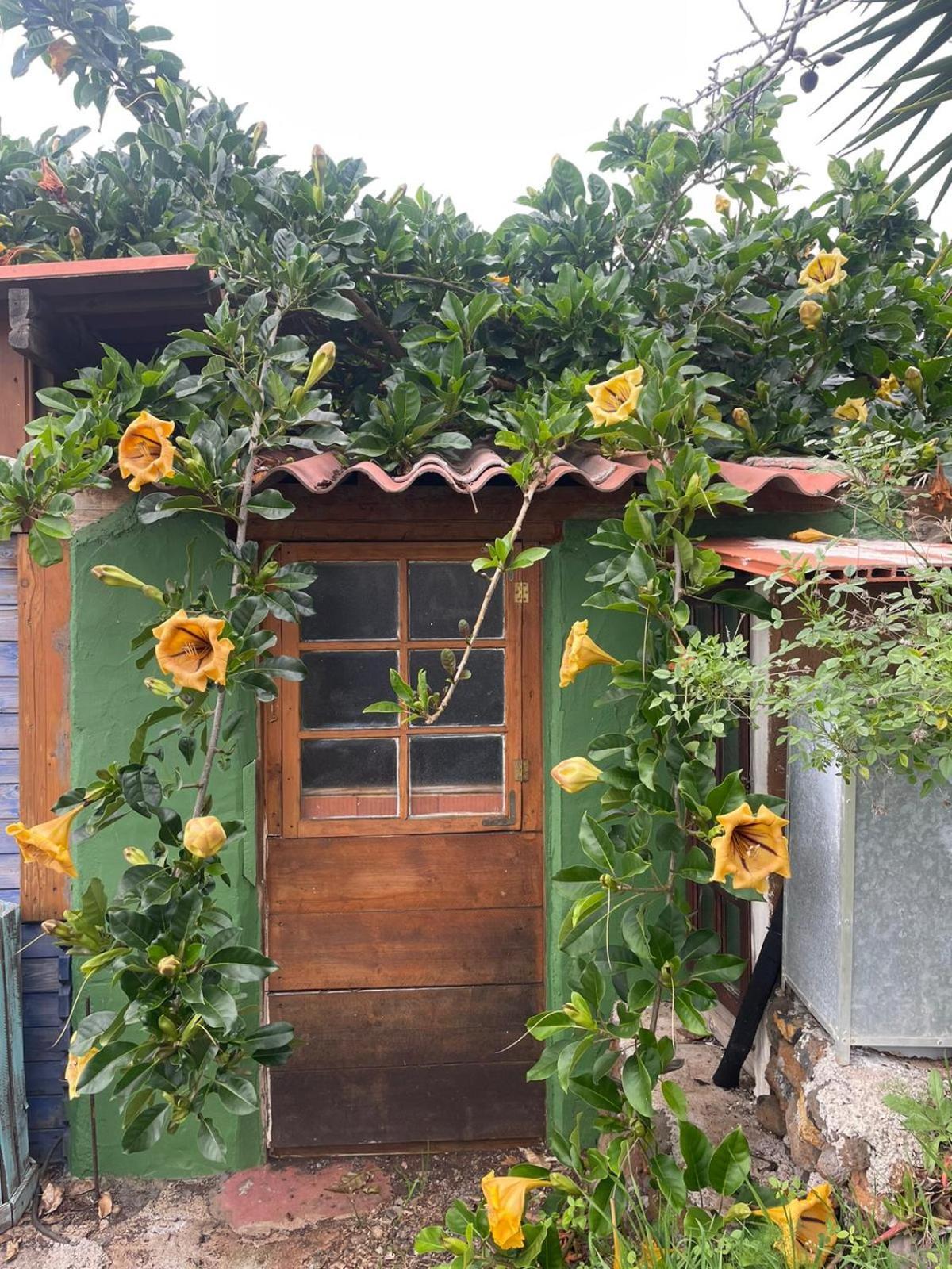 Bed and Breakfast Abracaribes Arecida Exterior foto