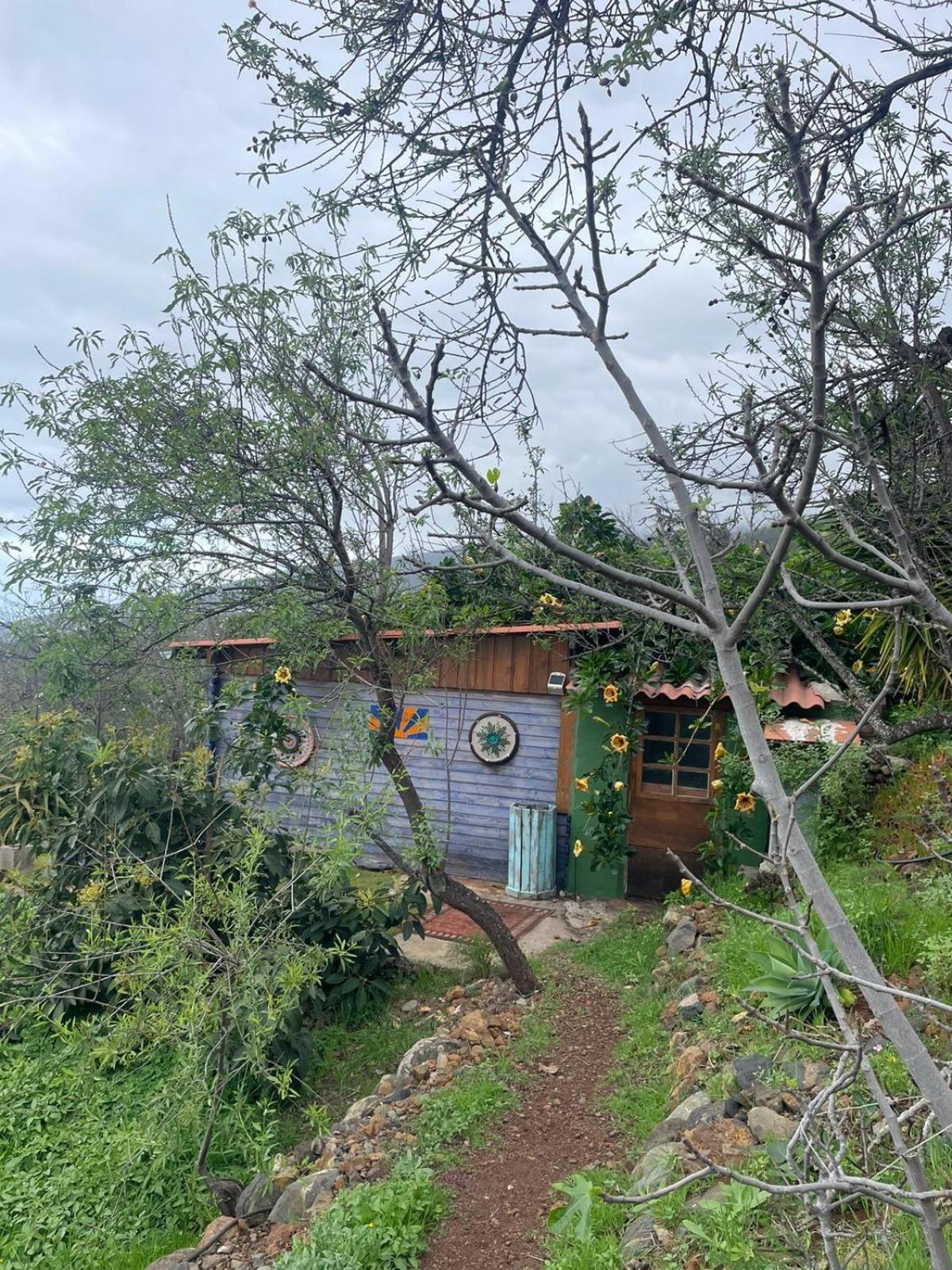 Bed and Breakfast Abracaribes Arecida Exterior foto